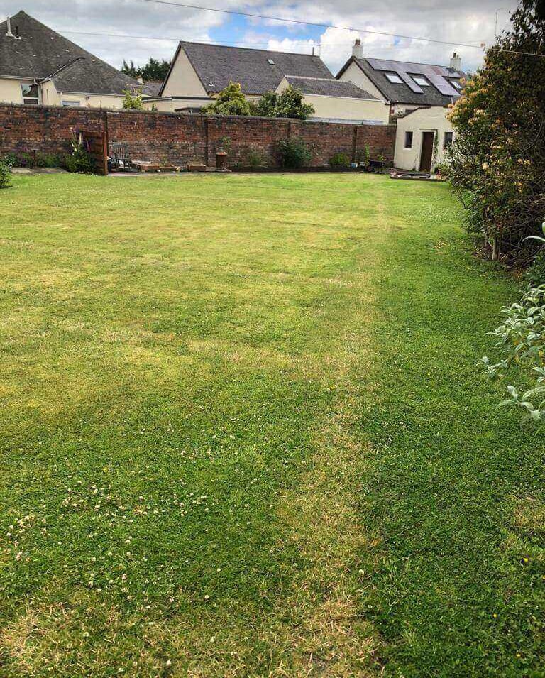 Garden Lawn after Drainage