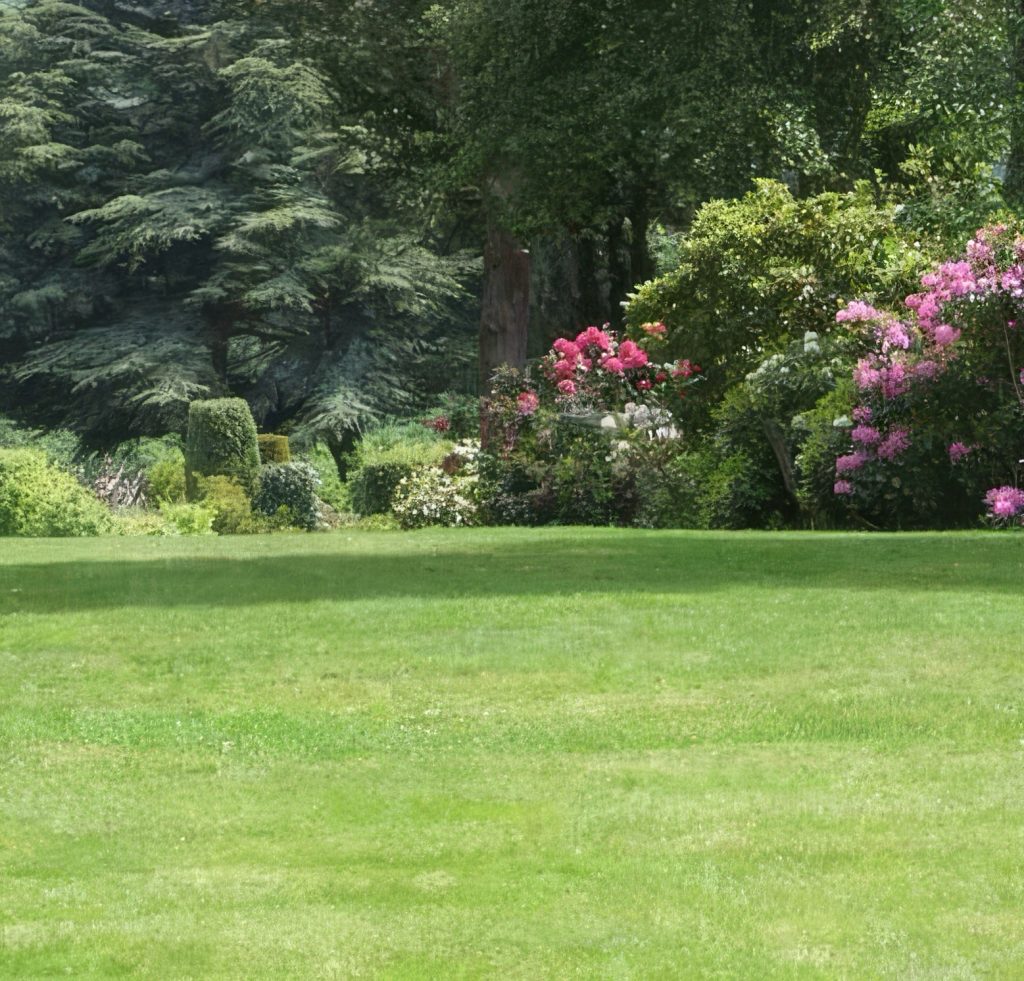 Garden Lawn
